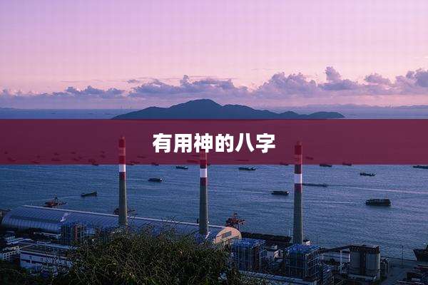 有用神的八字