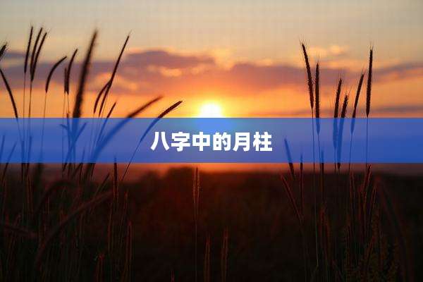 八字中的月柱