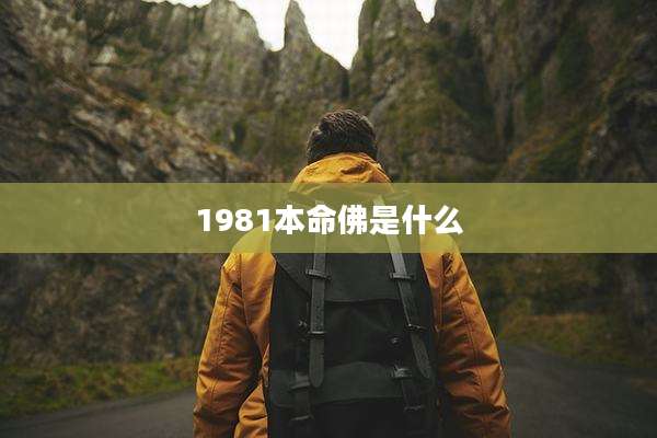 1981本命佛是什么