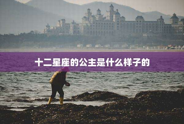 十二星座的公主是什么样子的