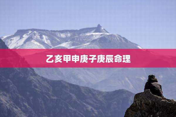 乙亥甲申庚子庚辰命理