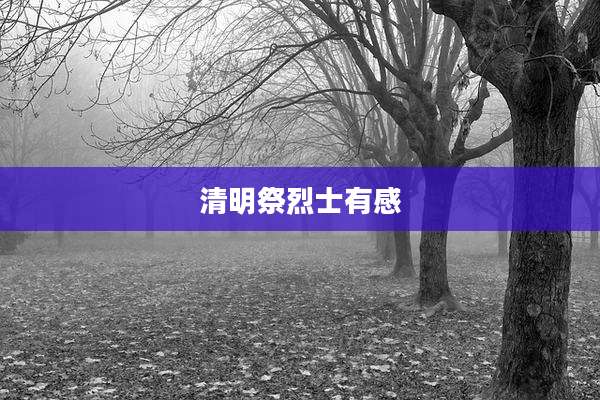 清明祭烈士有感