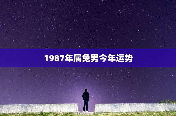 1987年属兔男今年运势