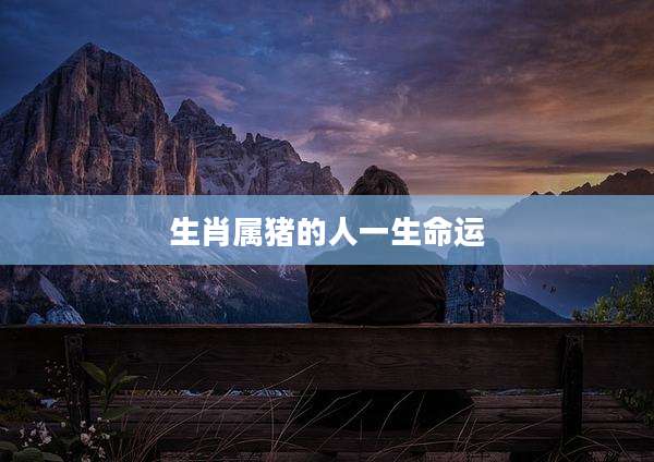 生肖属猪的人一生命运