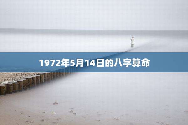 1972年5月14日的八字算命
