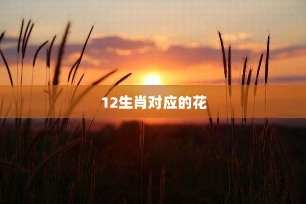 12生肖对应的花