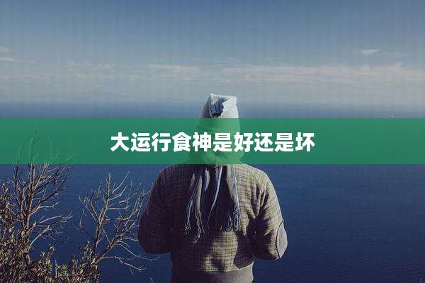 大运行食神是好还是坏