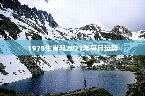 1978生肖马2021年每月运势