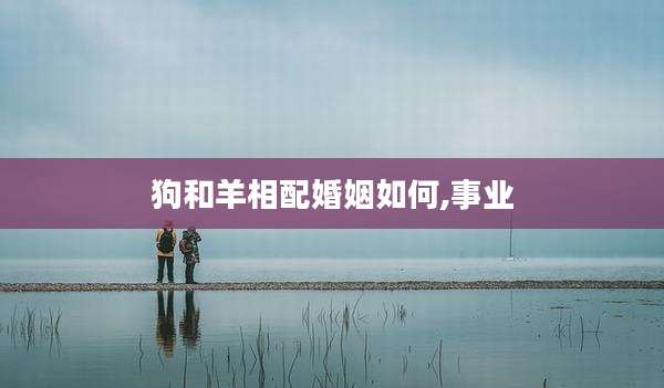 狗和羊相配婚姻如何,事业