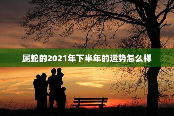 属蛇的2021年下半年的运势怎么样