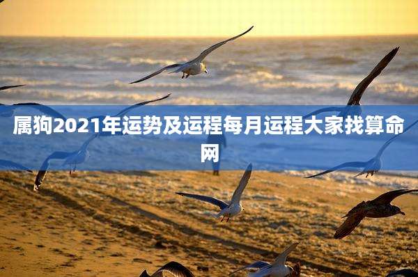 属狗2021年运势及运程每月运程大家找算命网