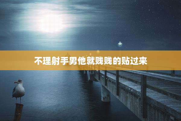 不理射手男他就贱贱的贴过来