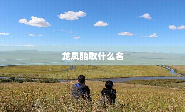 龙凤胎取什么名