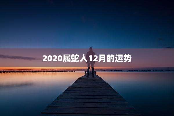 2020属蛇人12月的运势