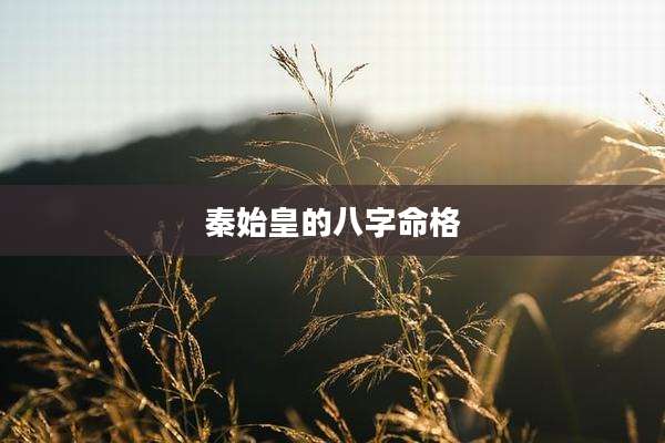秦始皇的八字命格