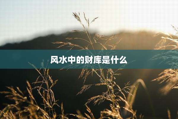 风水中的财库是什么