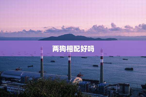 两狗相配好吗