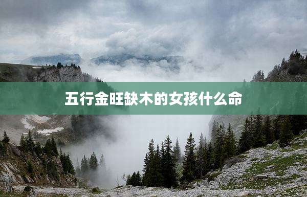 五行金旺缺木的女孩什么命