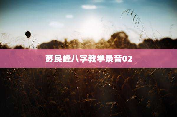 苏民峰八字教学录音02