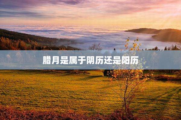 腊月是属于阴历还是阳历