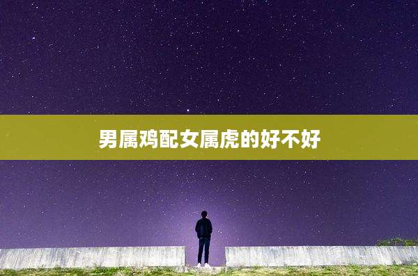 男属鸡配女属虎的好不好