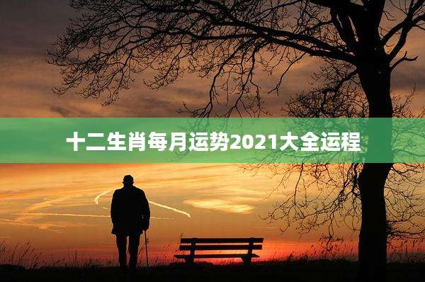 十二生肖每月运势2021大全运程