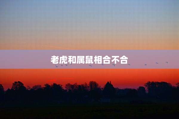 老虎和属鼠相合不合