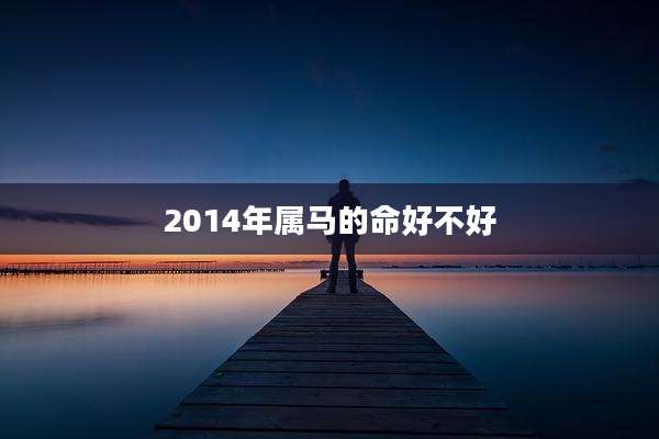 2014年属马的命好不好