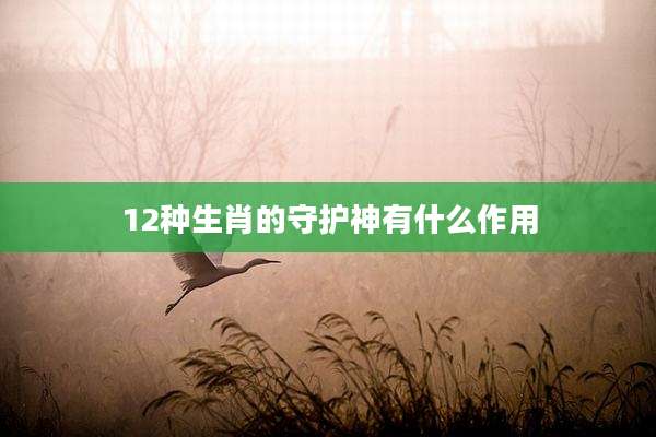 12种生肖的守护神有什么作用