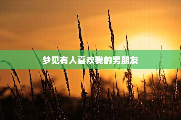 梦见有人喜欢我的男朋友
