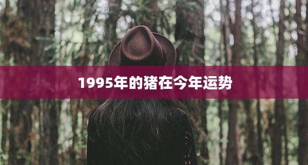 1995年的猪在今年运势