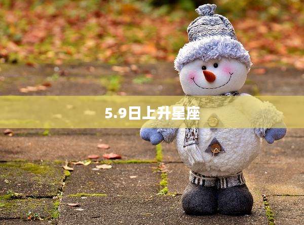 5.9日上升星座