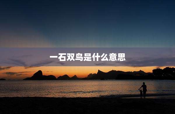 一石双鸟是什么意思