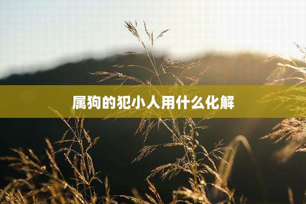 属狗的犯小人用什么化解