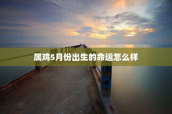 属鸡5月份出生的命运怎么样