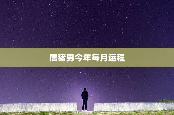 属猪男今年每月运程