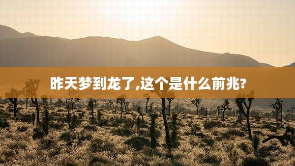 昨天梦到龙了,这个是什么前兆?