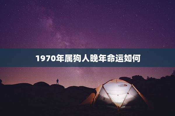 1970年属狗人晚年命运如何