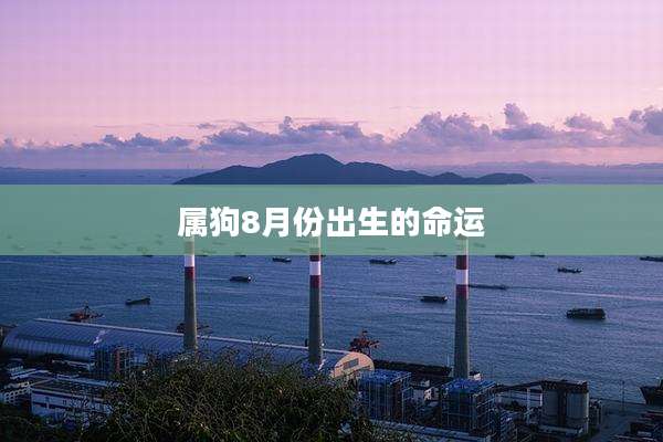 属狗8月份出生的命运