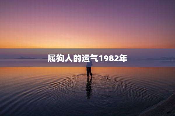 属狗人的运气1982年
