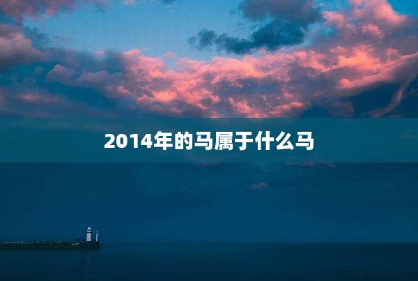 2014年的马属于什么马
