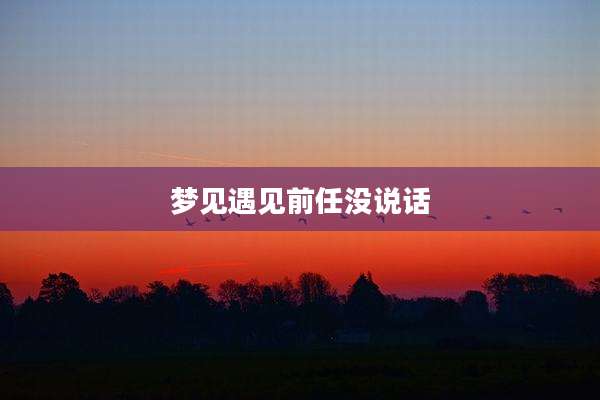 梦见遇见前任没说话