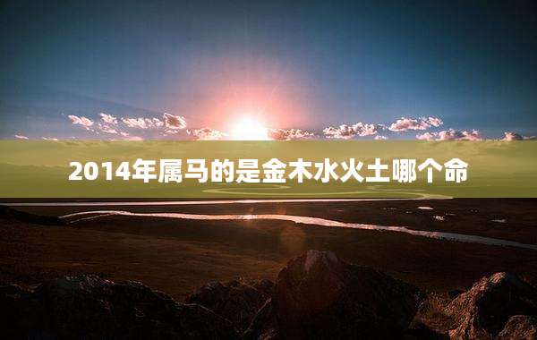 2014年属马的是金木水火土哪个命