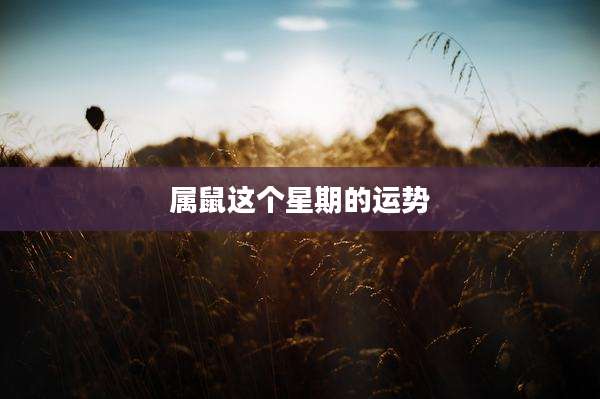 属鼠这个星期的运势