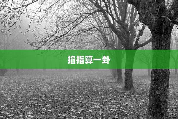掐指算一卦