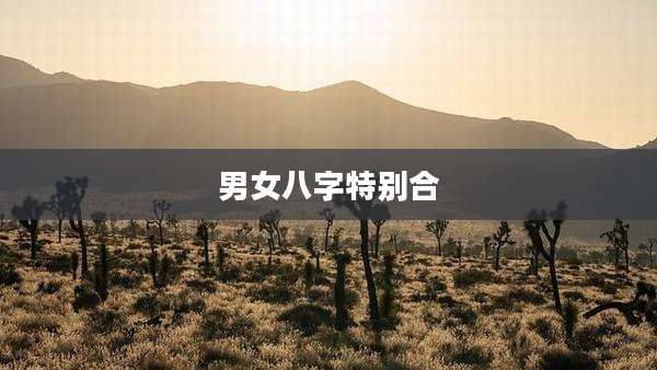 男女八字特别合