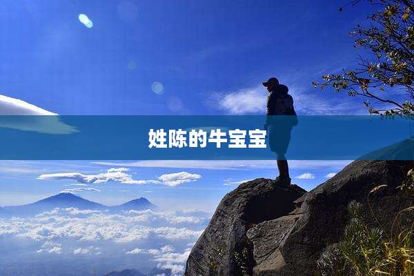 姓陈的牛宝宝