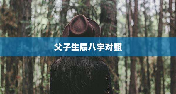 父子生辰八字对照
