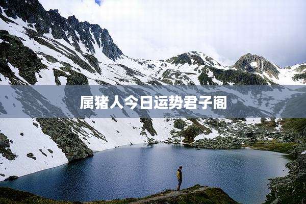 属猪人今日运势君子阁