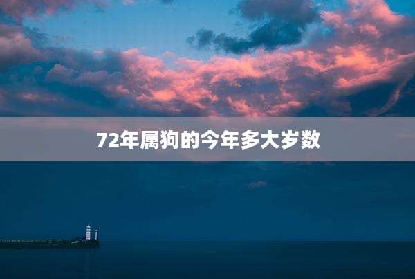 72年属狗的今年多大岁数